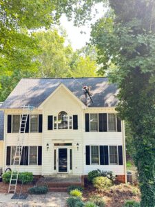 Roof Cleaning by Alba Pro Services