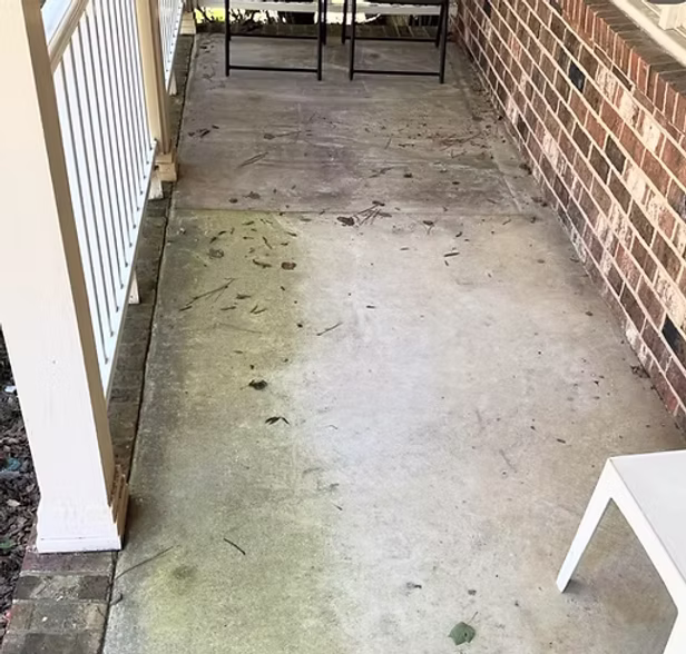 Before: Dirty Patio with Green moss